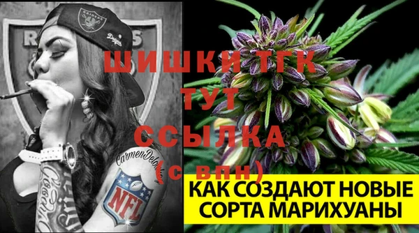 амф Осташков