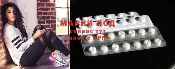 дживик Осинники