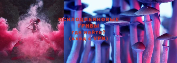 амф Осташков