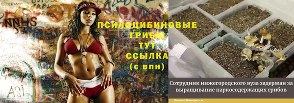 дживик Осинники