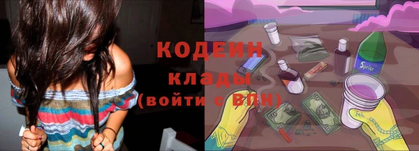 мет Новозыбков